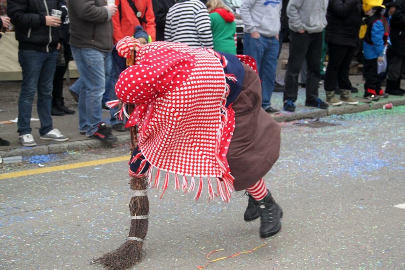 Sarmenstorf Fasnachtsumzug 16.02.2014 (53)